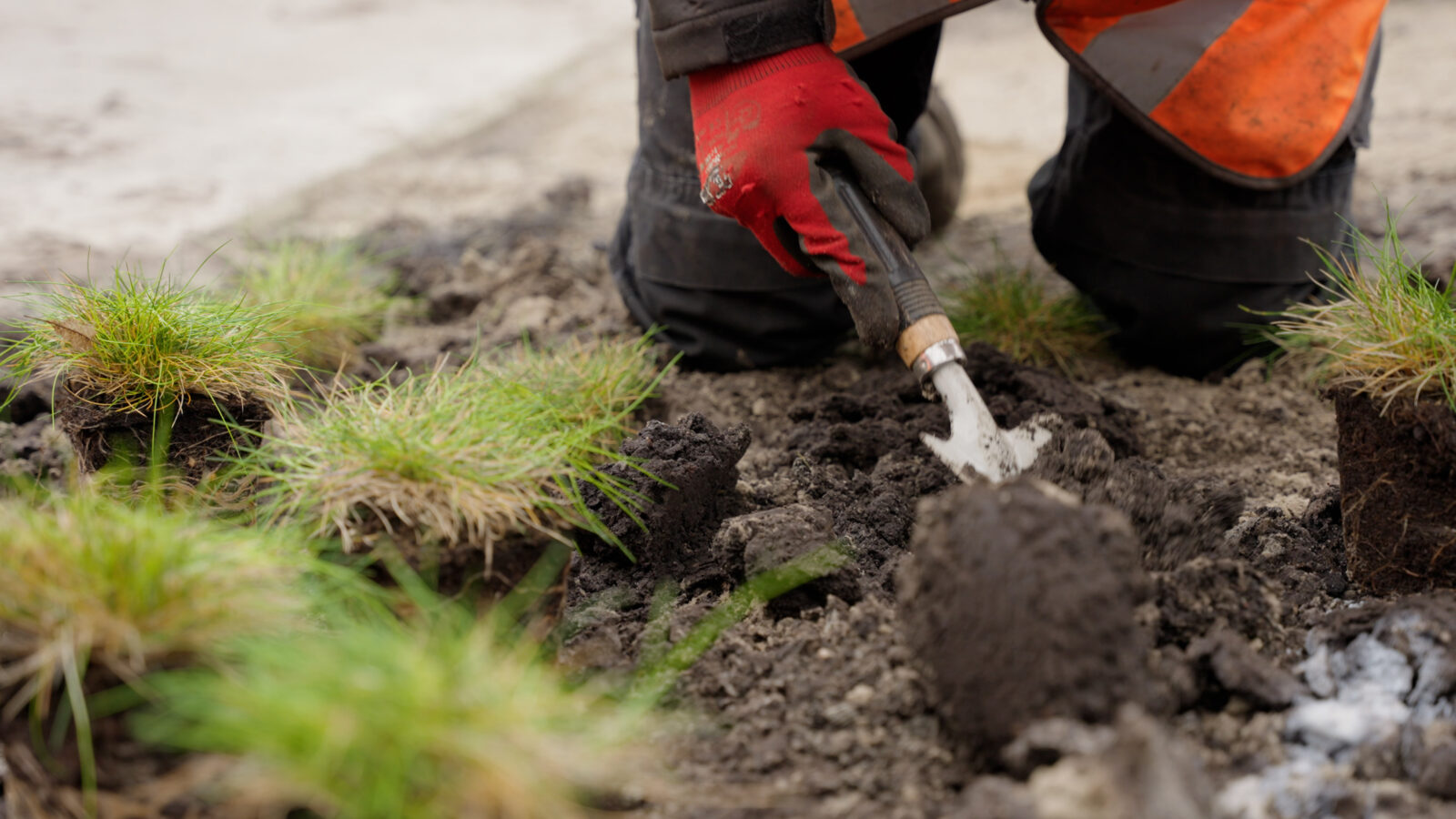 Vergroening buitenterrein Energiehub050